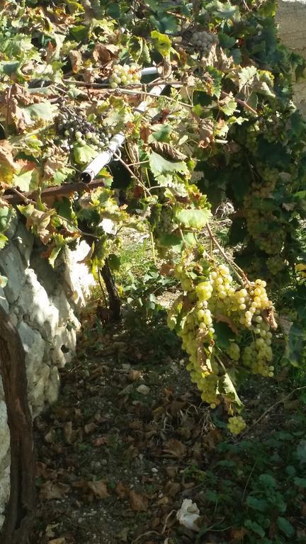 Sole E Fiori Di Sicilia Apartment Valderice Bagian luar foto