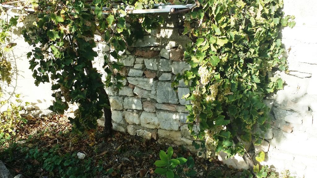 Sole E Fiori Di Sicilia Apartment Valderice Bagian luar foto
