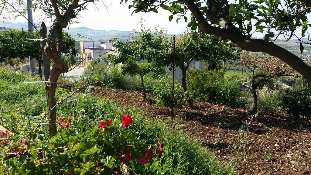 Sole E Fiori Di Sicilia Apartment Valderice Bagian luar foto